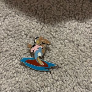 Splash mountain pin